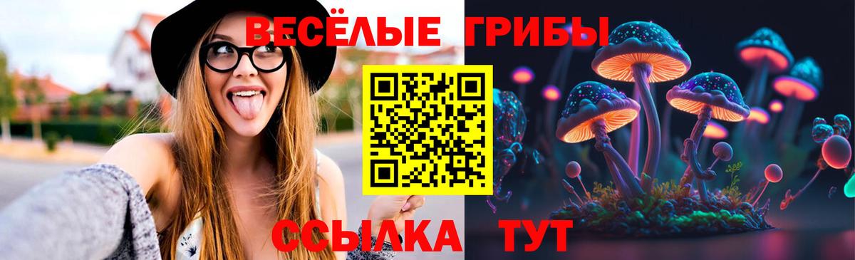 Псилоцибиновые грибы мицелий Октябрьский